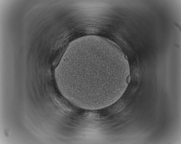 X0000101980655200808081616