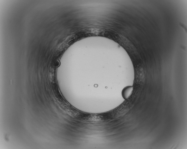 X0000101980656200808081616