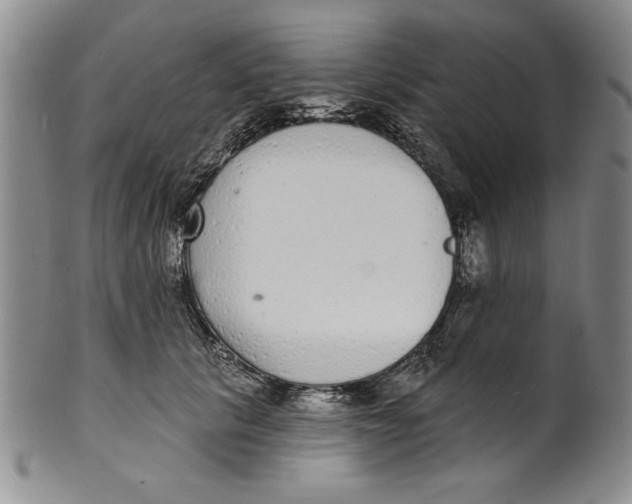 X0000101980657200808081616