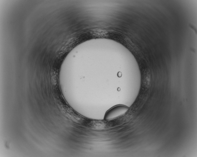 X0000101980658200808081616