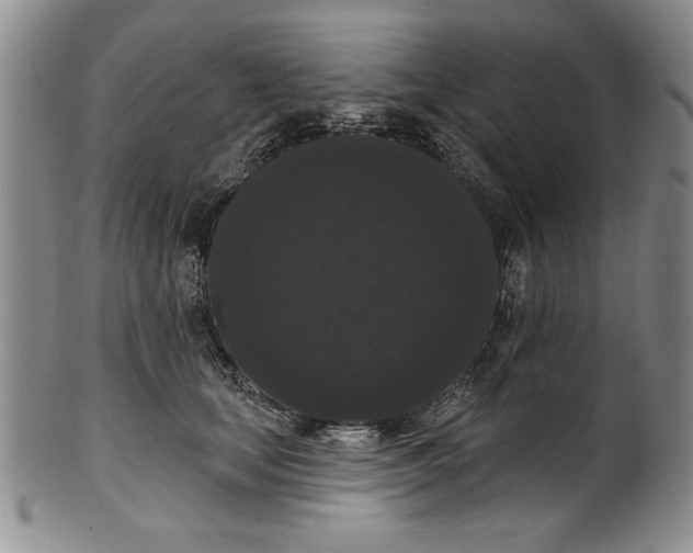 X0000101980659200808081616