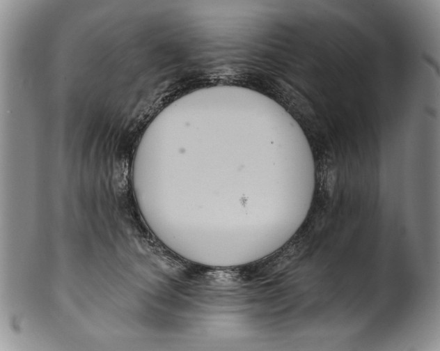 X0000101980660200808081616