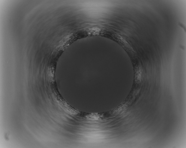 X0000101980661200808081616