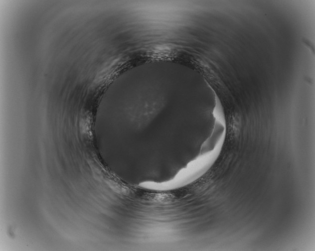 X0000101980663200808081616