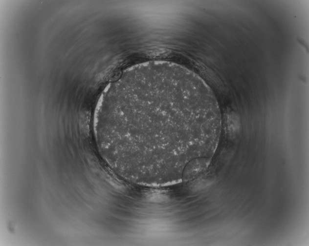 X0000101980664200808081616