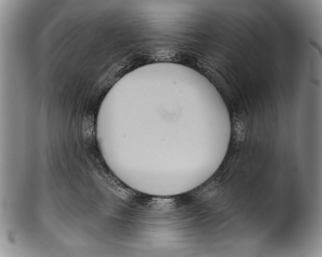 X0000101980665200808081617