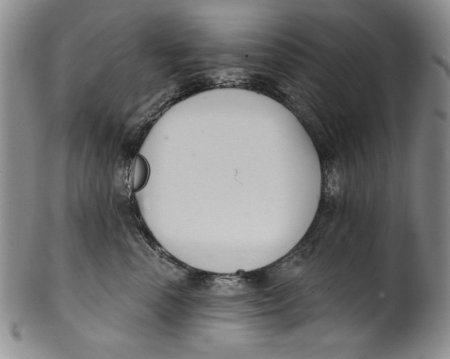 X0000101980666200808081617