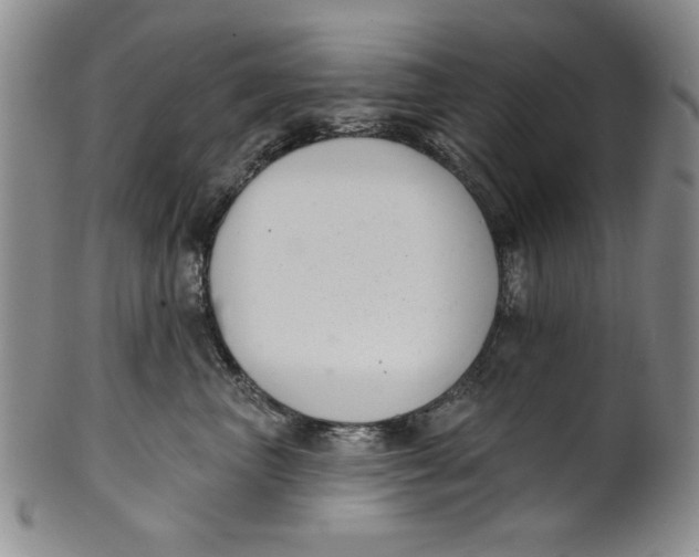 X0000101980667200808081617