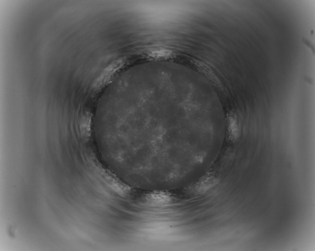 X0000101980668200808081617