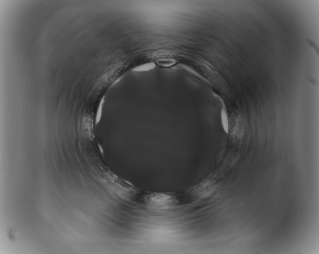 X0000101980669200808081617