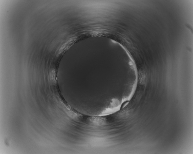 X0000101980670200808081617