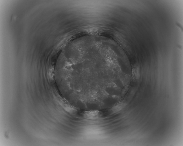 X0000101980671200808081617