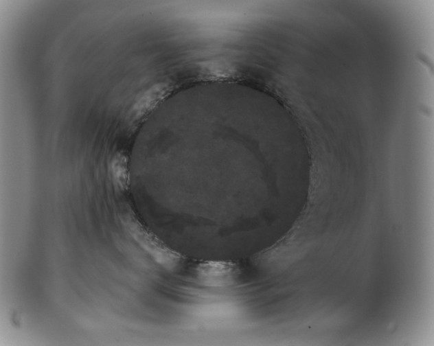 X0000101980672200808081617