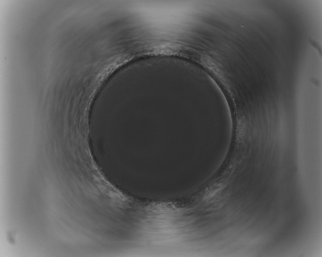 X0000101980673200808081616