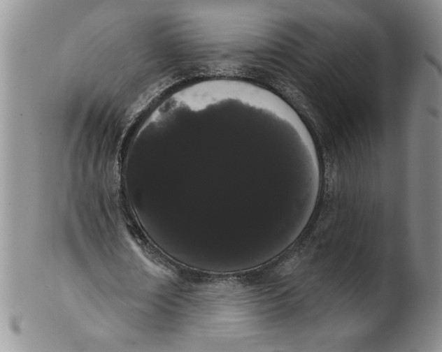 X0000101980674200808081616