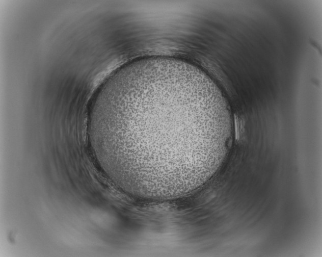 X0000101980675200808081616