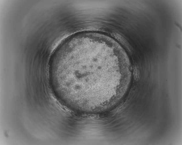 X0000101980676200808081616