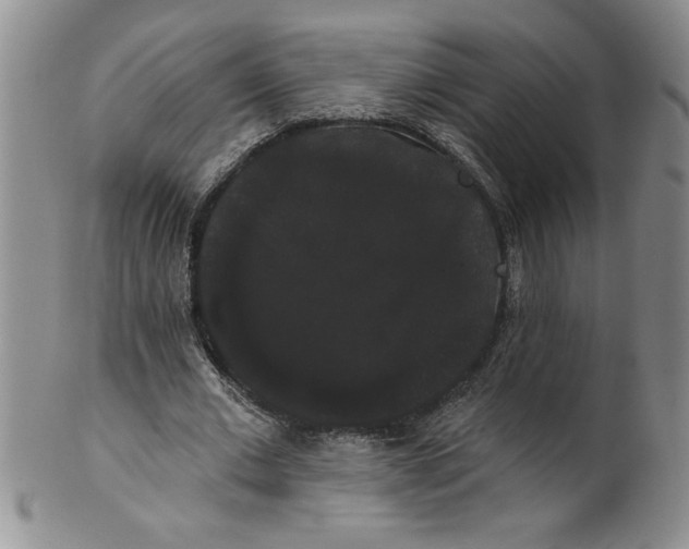 X0000101980677200808081616