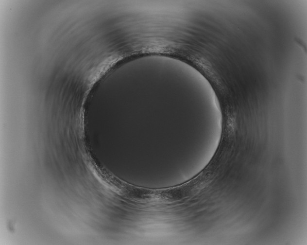 X0000101980678200808081616