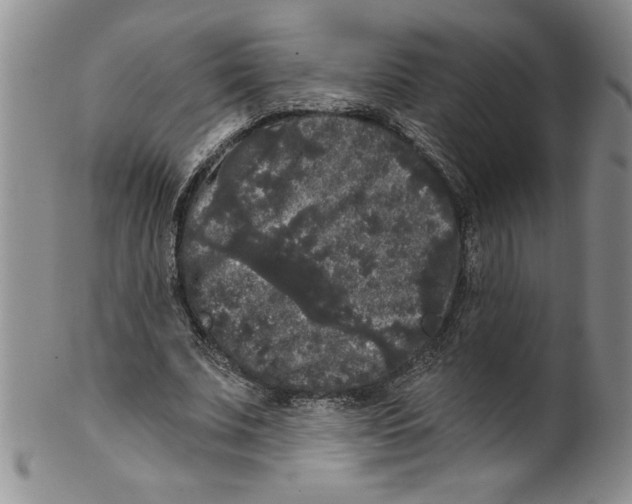 X0000101980679200808081616