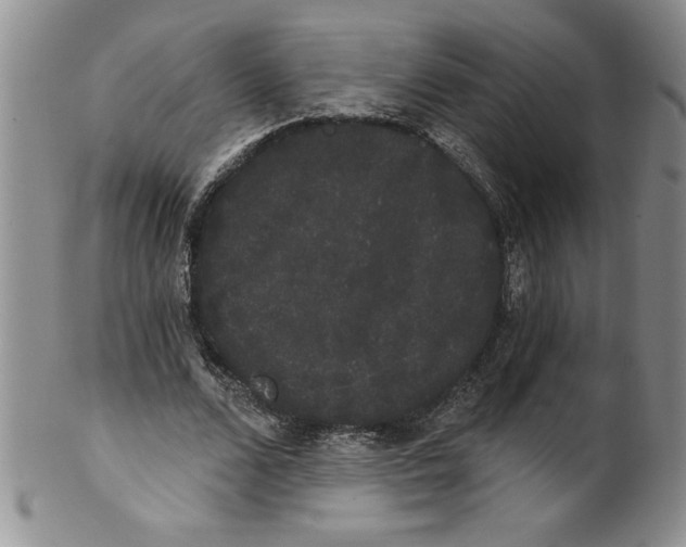 X0000101980680200808081616