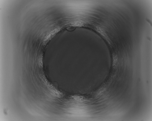 X0000101980681200808081616