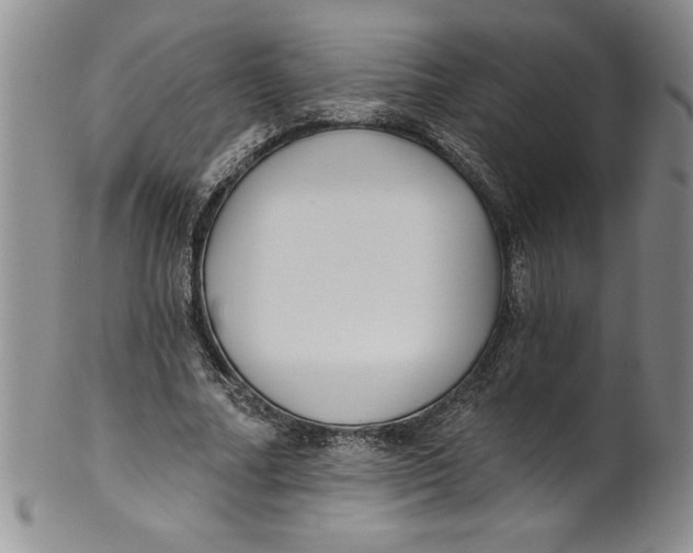 X0000101980682200808081616