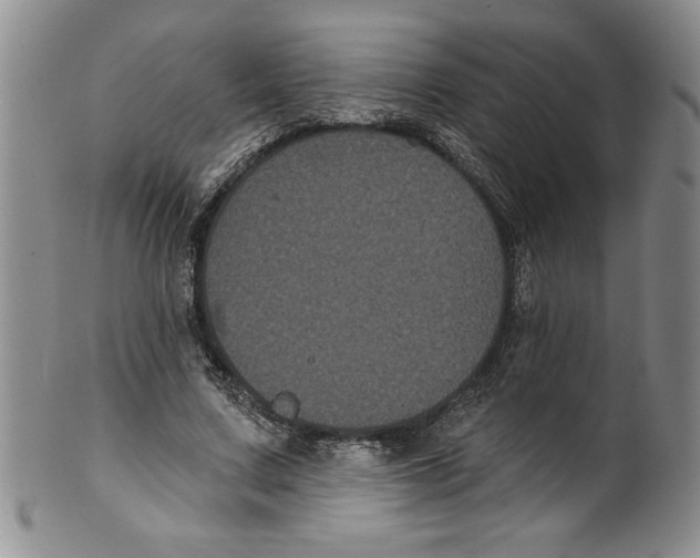 X0000101980683200808081616