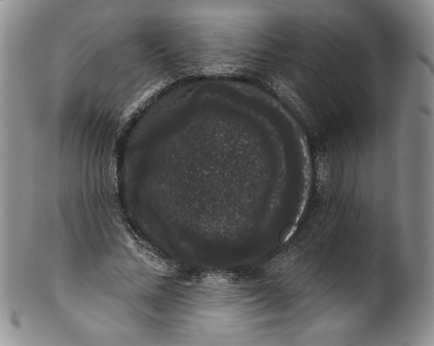 X0000101980684200808081616