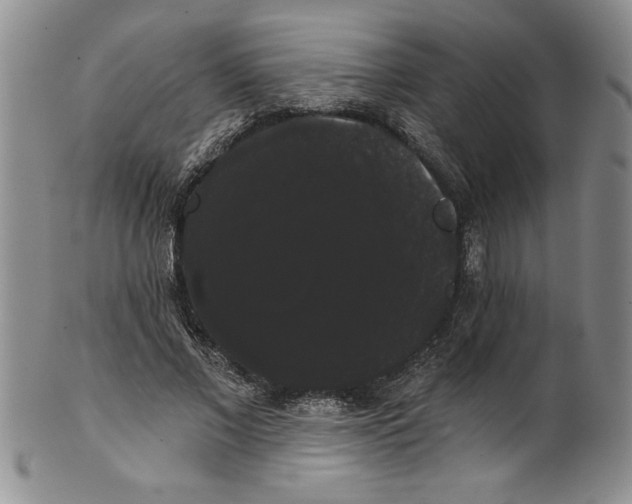 X0000101980685200808081616