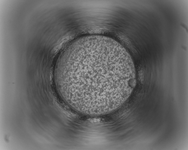 X0000101980687200808081616