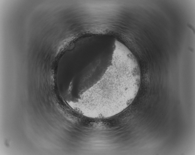 X0000101980688200808081616