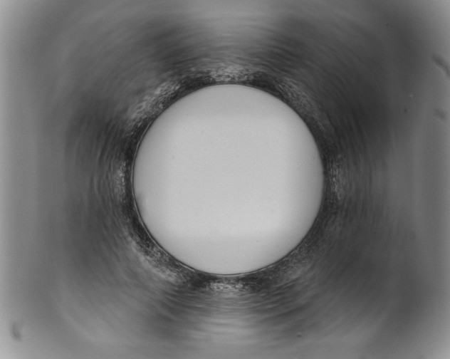 X0000101980690200808081616