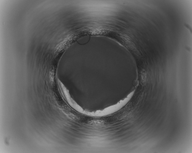 X0000101980691200808081616