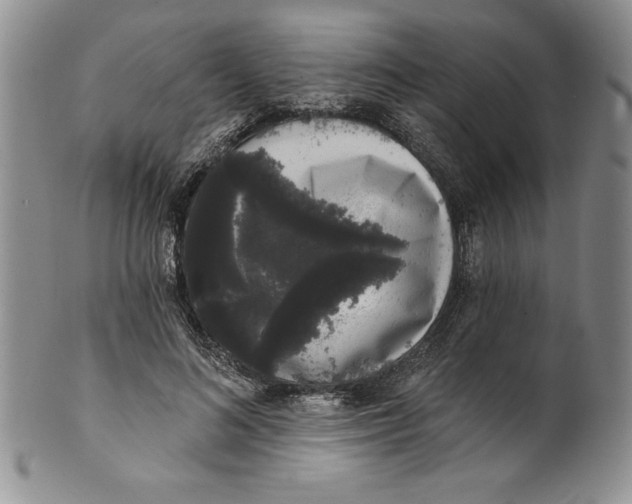 X0000101980692200808081616