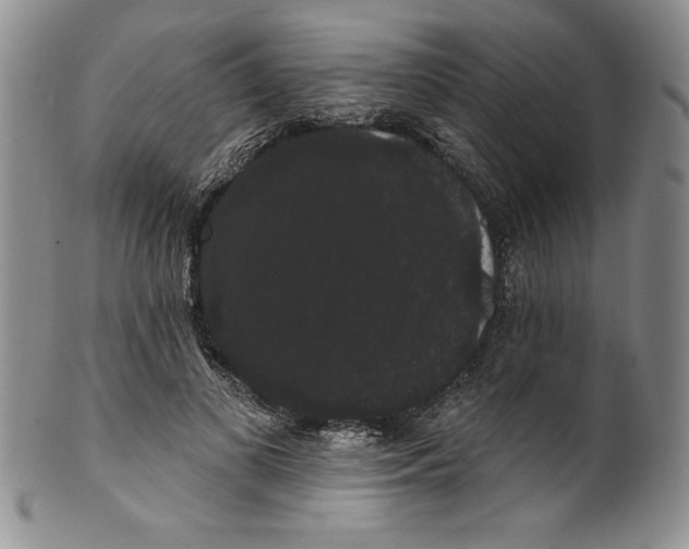 X0000101980693200808081616