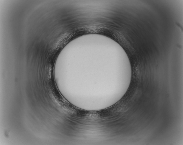 X0000101980694200808081616