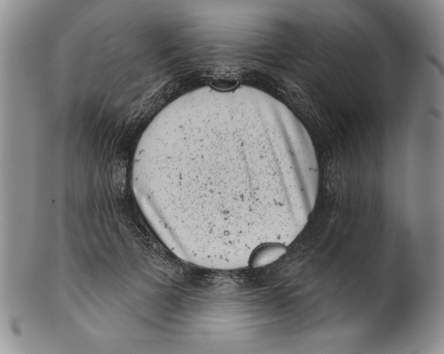 X0000101980697200808081616