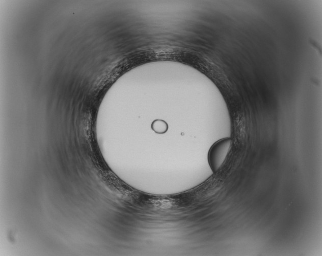 X0000101980698200808081615