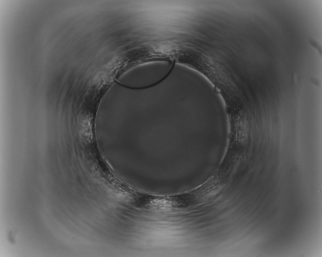 X0000101980699200808081615