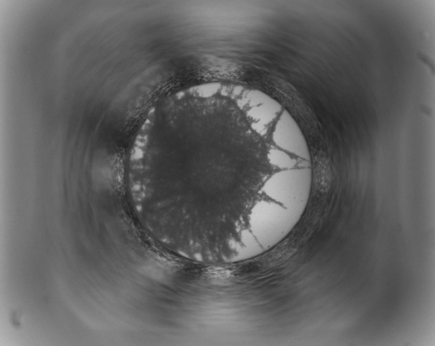 X0000101980701200808081615