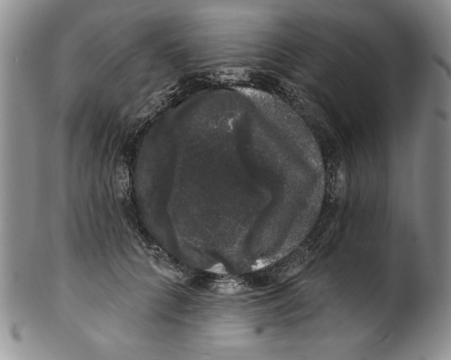 X0000101980704200808081615