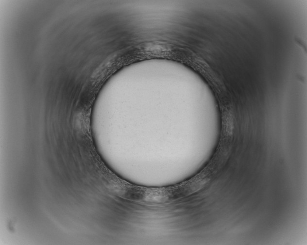 X0000101980705200808081615