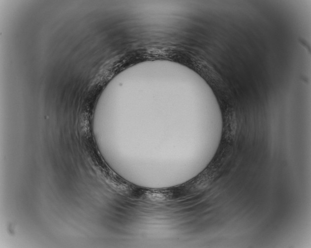 X0000101980706200808081615