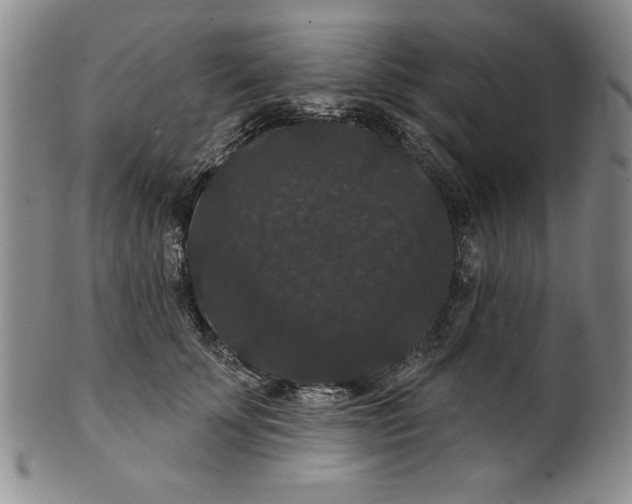 X0000101980707200808081615