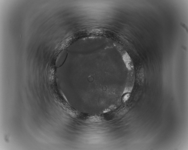 X0000101980708200808081615