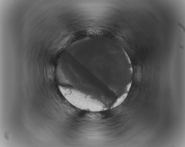 X0000101980712200808081615