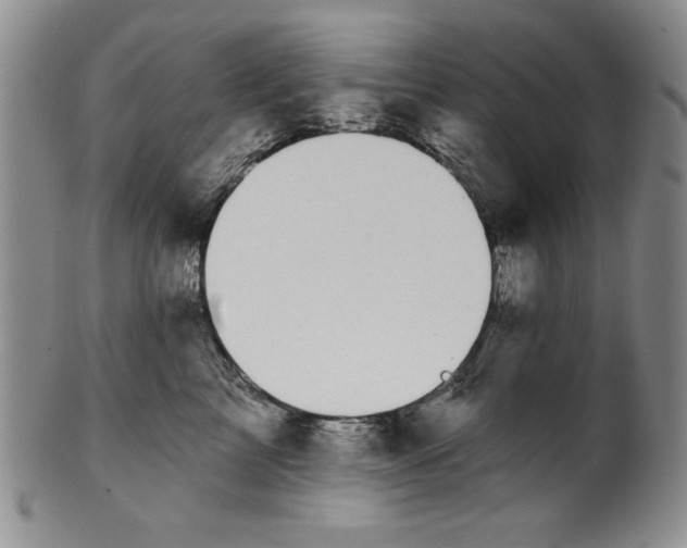 X0000101980713200808081615