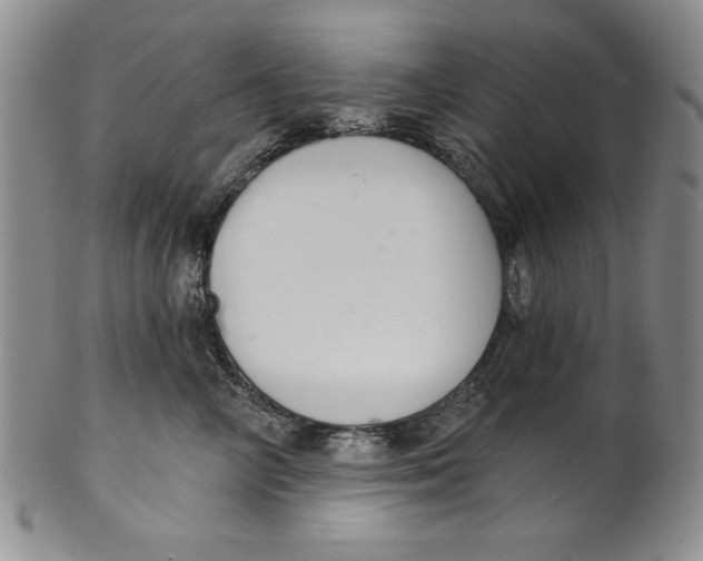 X0000101980714200808081615