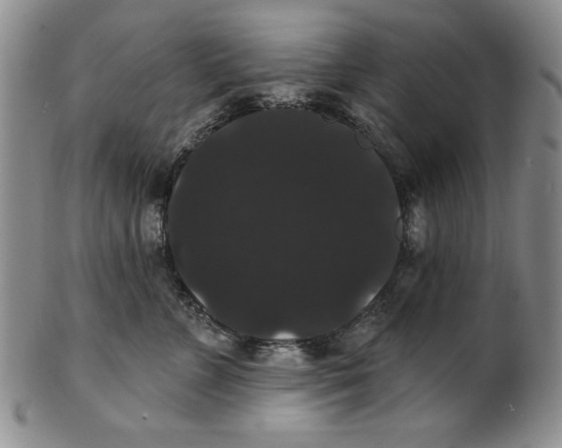 X0000101980715200808081615